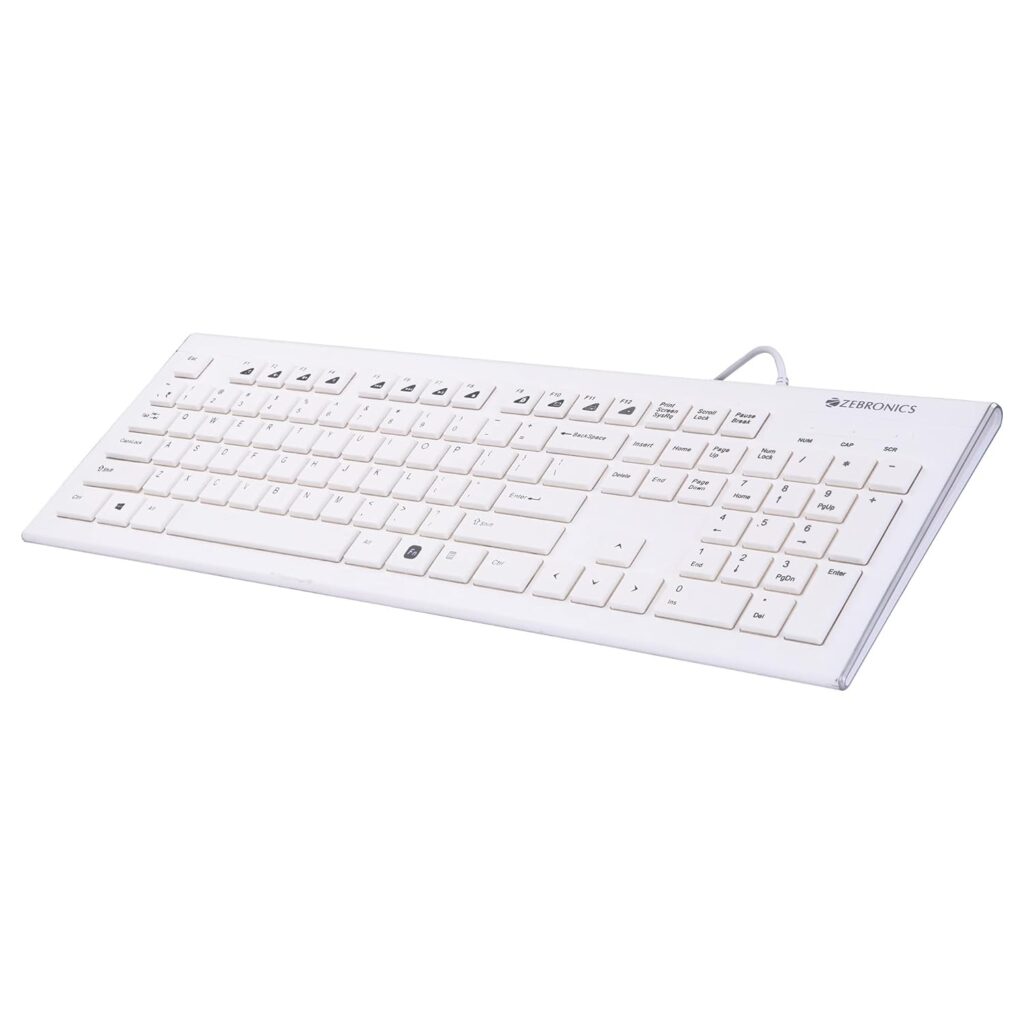 Zebronics DLK01 Keyboard
