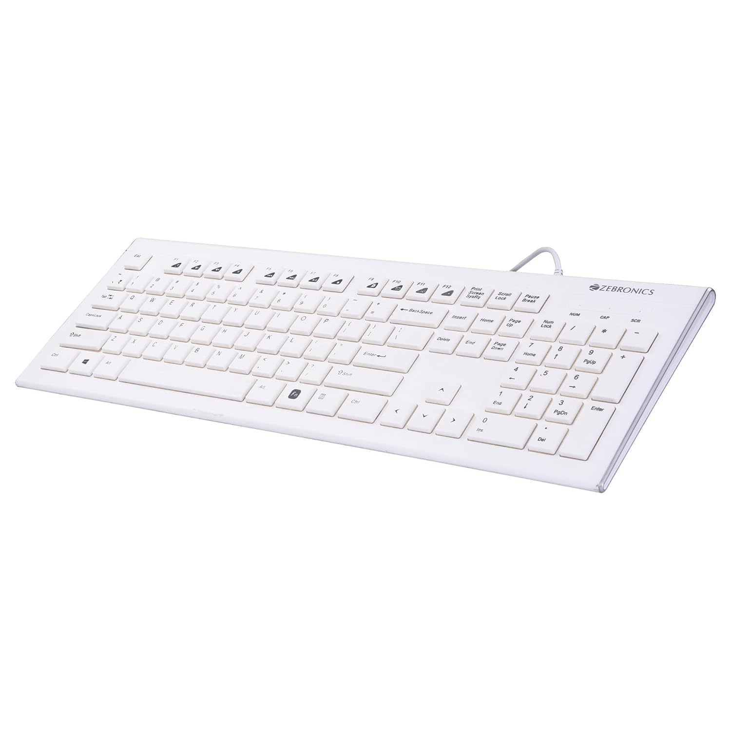Zebronics DLK01 Keyboard