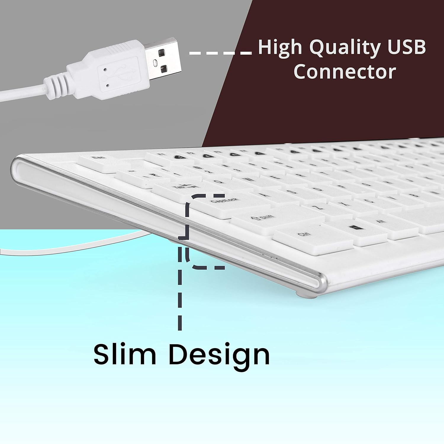 Zebronics DLK01 Keyboard
