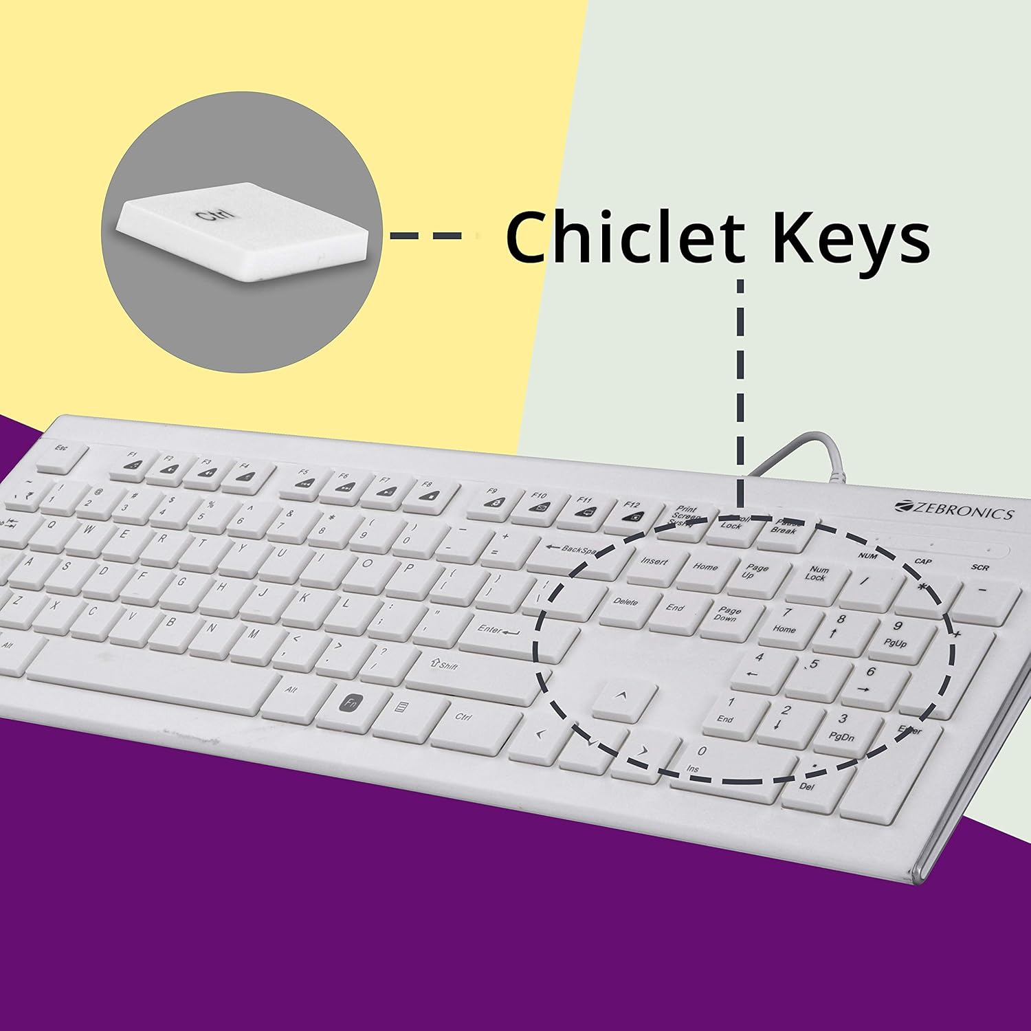 Zebronics DLK01 Keyboard