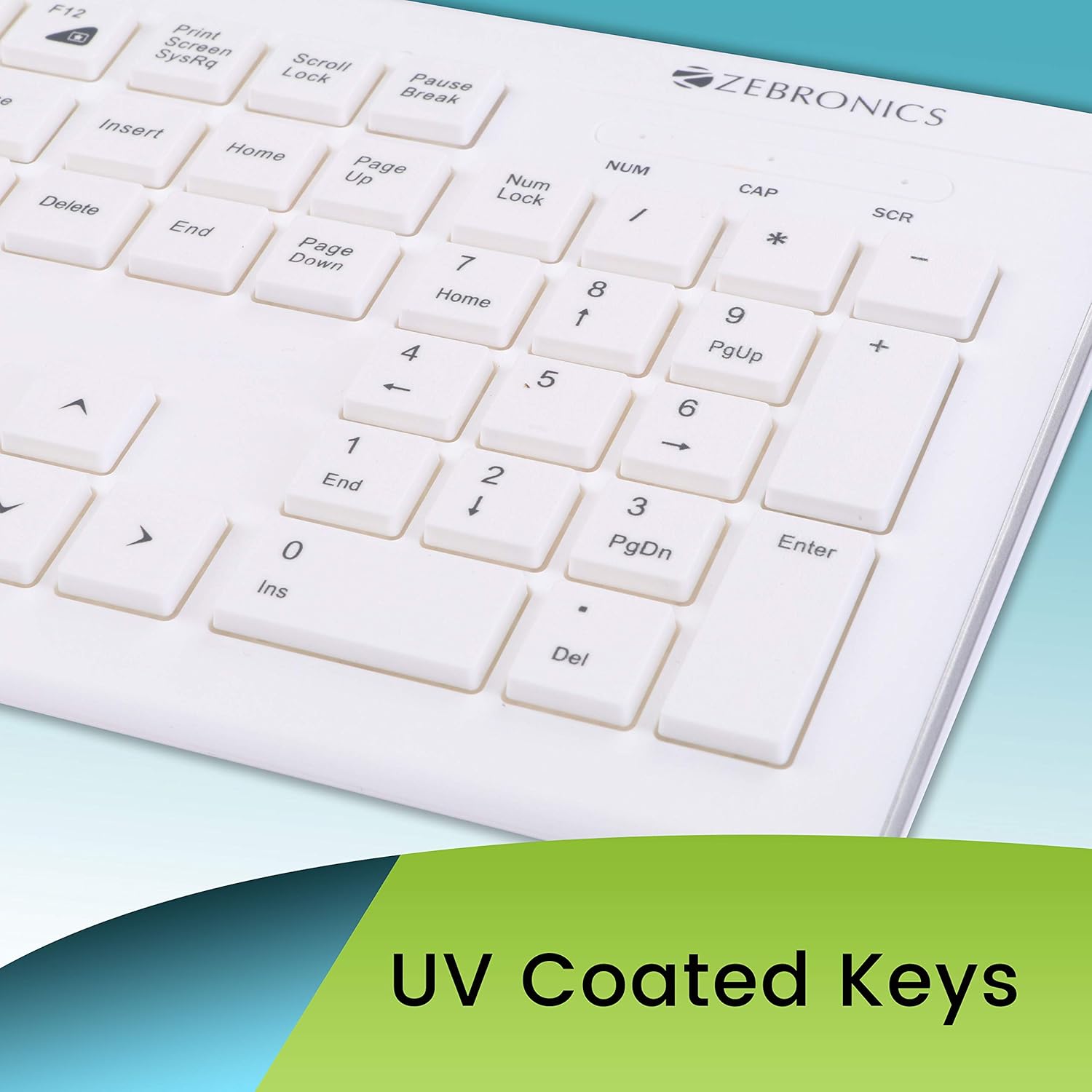 Zebronics DLK01 Keyboard
